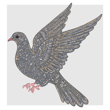 Gri bir güvercinin klasik el yapımı tasviri, net hatları ve renkli fırça darbeleriyle yarım yamalak bir şekilde yürütülmüş..