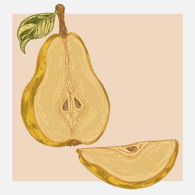 Armut yarısının klasik bir el çizimi çizimi tasviri. Kıtır hatları ve renkli fırça darbeleriyle baştan savma bir şekilde uygulanmış..