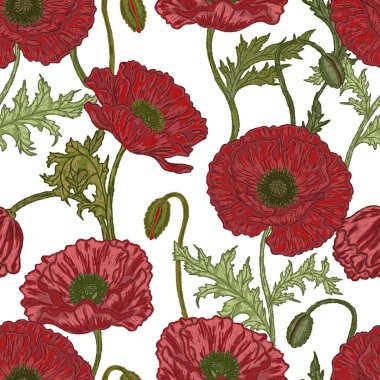 Haşhaş Kusursuz desen. Bu klasik illüstrasyon, düzgün hatları ve parlak, desenli fırça darbeleriyle baştan savma bir tarzda çizilmiş..