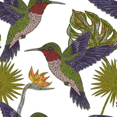 Sinekkuşları ve Tropik kuşları. Kusursuz desen. Bu klasik illüstrasyon, düzgün hatları ve parlak, desenli fırça darbeleriyle baştan savma bir tarzda çizilmiş..
