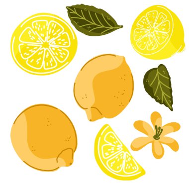 Limonlar. Bir dizi klasik el yapımı illüstrasyon. Samimi Akdeniz çizgi filmi tarzı. Ayrı elementler, paket