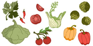 Yiyecek ürünlerinin yer aldığı bir dizi el yapımı illüstrasyon. Samimi Akdeniz çizgi film tarzı. Ayrı elementler, paket