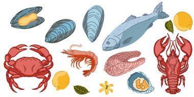 Yiyecek ürünlerinin yer aldığı bir dizi el yapımı illüstrasyon. Samimi Akdeniz çizgi film tarzı. Ayrı elementler, paket