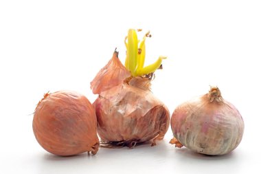 Beyaz arka planda taze yeşil lahanalı soğan soğanları