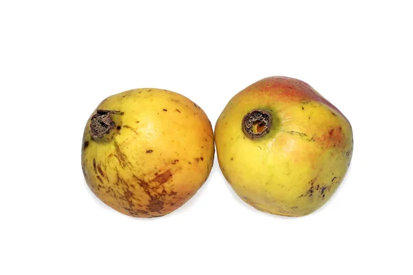 Ripe Pomegranate Fruit Isolated White Backgrounds — Stock Photo, Image