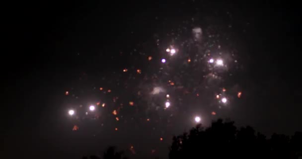 Fuegos Artificiales Brillantes Con Luces Bokeh Cielo Nocturno Espectáculo Fuegos — Vídeo de stock