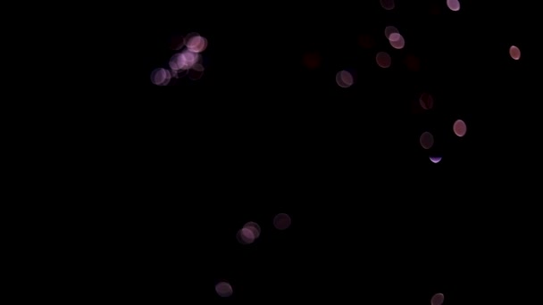 Bela exibição brilhante de fogos de artifício coloridos no fundo do laço noturno. Para 4 de julho, festival, Aniversário, Celebração, Festa, Ano Novo, Feliz Aniversário, Casamento, Confetti, Diwali, Natal — Vídeo de Stock