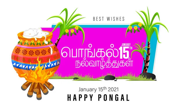 Tamil Nadu Hindistan Mutlu Pongal Festivali Nin Vektör Illüstrasyonunu Kullanmak — Stok Vektör