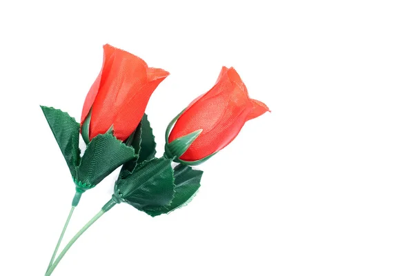 Gyönyörű Két Vörös Rózsa Fehér Háttérrel Valentin Napi Ajándék Lehet — Stock Fotó