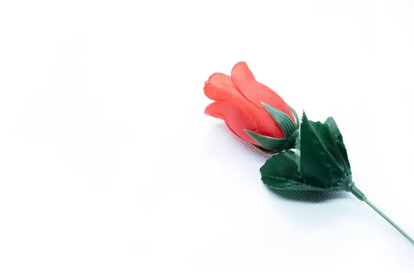 Одна Прекрасна Червона Троянда Ізольована Білому Тлі Може Бути Використана — стокове фото