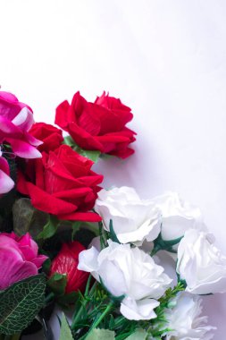 Beyaz arkaplanda izole edilmiş güzel beyaz ve kırmızı güller.