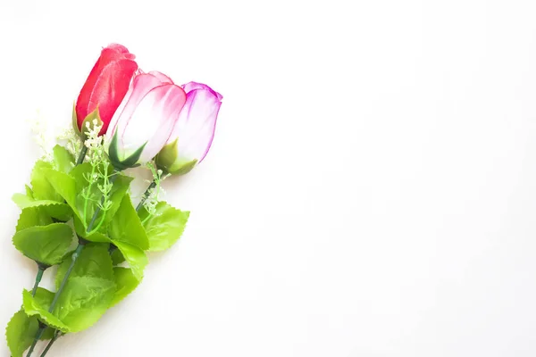 Красиві Різнокольорові Троянди Білому Тлі — стокове фото