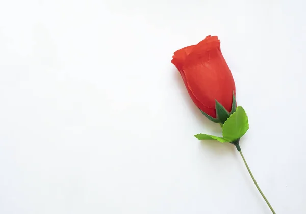 Czerwone Róże Białym Tle Może Być Wykorzystywany Śluby Dzień Matki — Zdjęcie stockowe