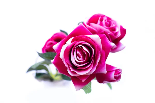 白い背景にピンク色のバラの美しい花束 — ストック写真