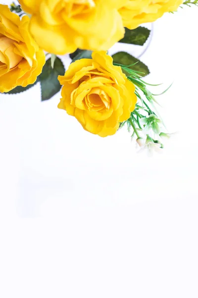 白色背景的黄色玫瑰 有选择的焦点 — 图库照片
