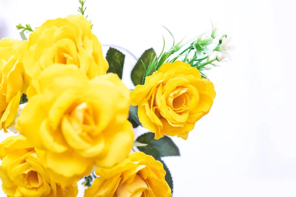 Rosas Amarillas Aisladas Sobre Fondo Blanco Enfoque Selectivo — Foto de Stock