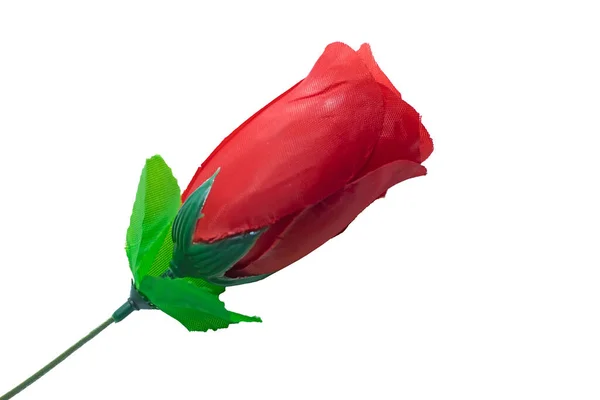Pojedyncza Piękna Czerwona Róża Izolowana Białym Tle — Zdjęcie stockowe