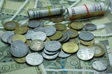 Hindistan Para Birimi Notları ve Bozuk Para