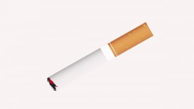 Sigara içmek yok. 31 Mayıs. Dünya Tütün Günü Değil