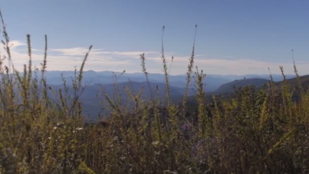 Blue Ridge Mountains uitzicht buiten Asheville North Carolina Dolly schot — Stockvideo