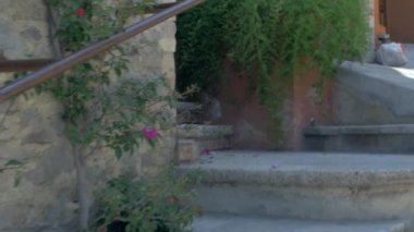 Eski bir sömürge ev ahşap kapı steadicam vurdu bir yaklaşıyor