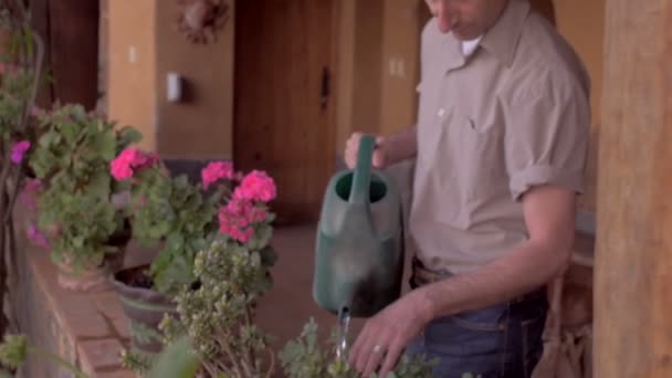 中年の男性は、屋外デッキに熱帯の鉢植えの植物を水. — ストック動画