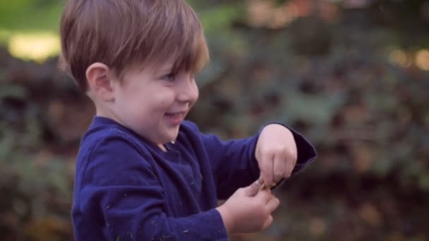 Un niño joven rubio y sano de ojos azules jugando con un juguete pequeño — Vídeo de stock