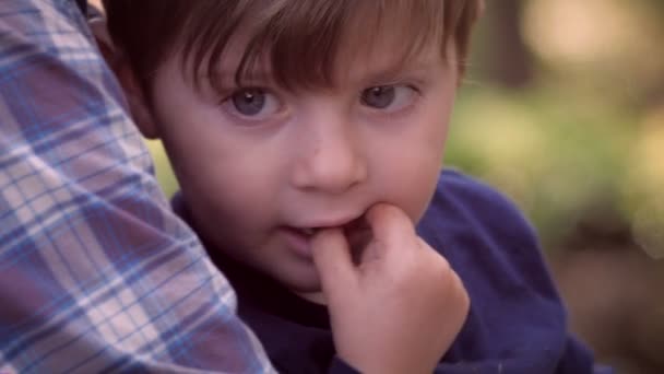 A portrait of a 2 year old son sitting in his fathers lap outside — Stok video
