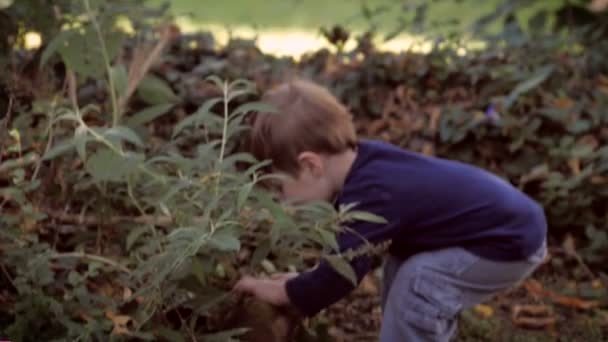 Slow motion real life shot of a blond little boy playing outside — Αρχείο Βίντεο