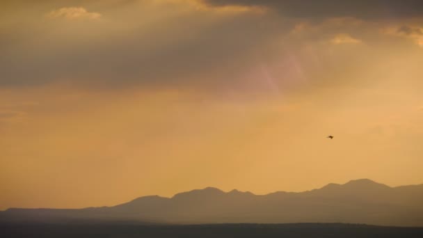 Plan de suivi des oiseaux volant au-dessus des montagnes au Mexique pendant le coucher du soleil en 4k — Video