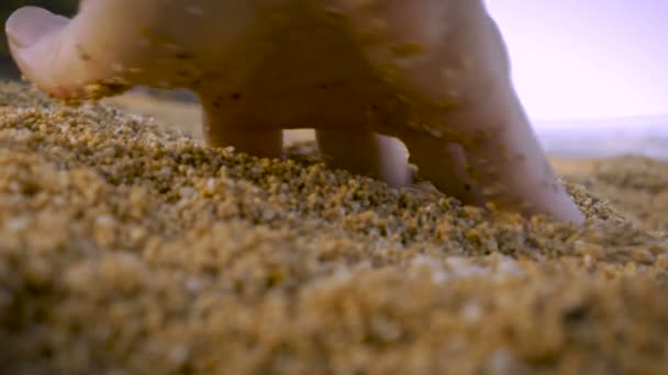 Закройте руку, бегущую пальцами по песку на пляже — стоковое видео