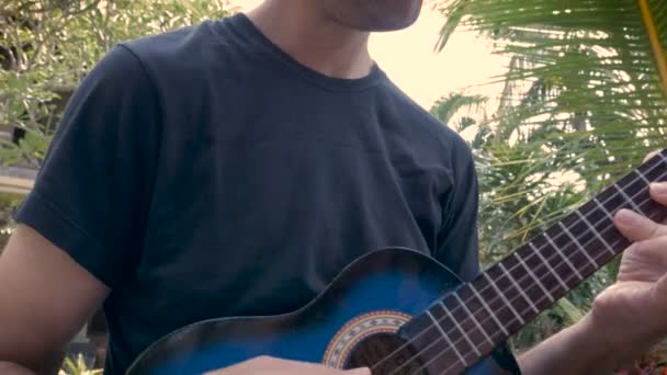 Låg vinkel av en man som spelar en ukulele i djungeln eller skogen — Stockvideo