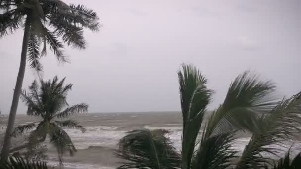 Μια καταιγίδα πλησιάζει προκαλεί τραχιά ωκεανό θάλασσες και ισχυρούς ανέμους — Αρχείο Βίντεο