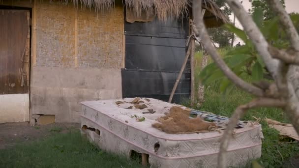 4k - Dolly prise d'un matelas abandonné à côté d'une cabane vide — Video