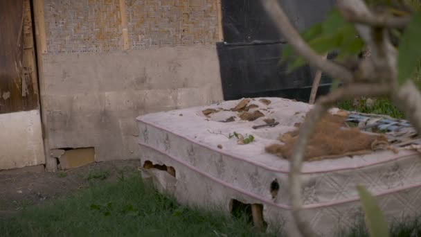 En dolly skott av en övergiven sönderrivna madrass sitter utanför en övergivna hem — Stockvideo
