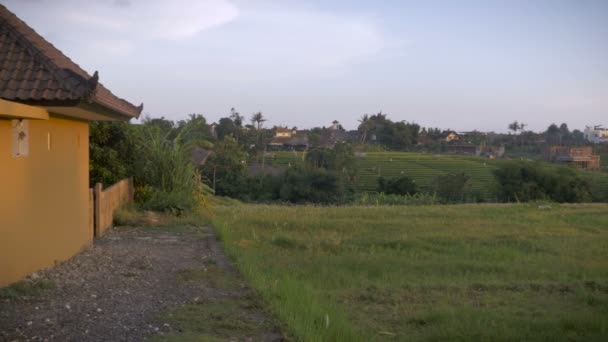 UBUD, BALI, INDONESIA - CIRCA ENERO 2016 - Una sartén de un campo de arroz en Bali y una villa con un mural en ella — Vídeos de Stock