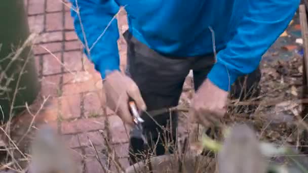Ein aktiver Senior schneidet eine Pflanze mit einer Schere und legt das Schnittgut in einen Mülleimer — Stockvideo