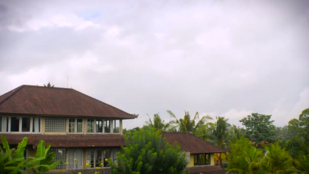 Caducidad de nubes blancas y esponjosas con árboles tropicales y tejados balineses . — Vídeo de stock