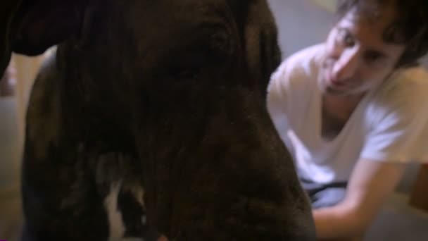 Slow mo eines großen schwarzen Hundes schaut seine Besitzerin an, als sie ein Bad nimmt — Stockvideo