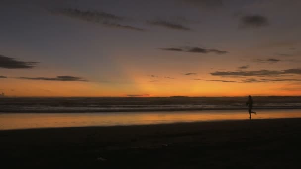 La silhouette d'une femme courant le long de la plage au lever ou au coucher du soleil — Video