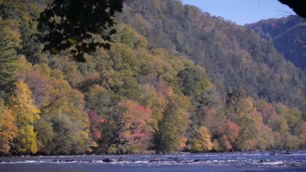 秋の温泉、ノースカロライナ州のフランスの広い川の上流のパン — ストック動画