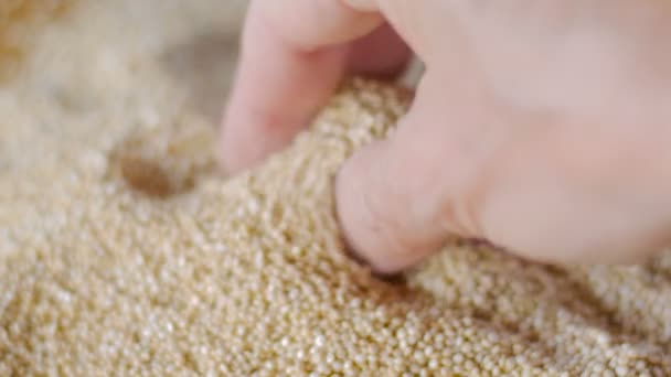 Close up van een hand die een handvol quinoa grijpen — Stockvideo