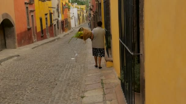 An elderly woman carries a bouquet of flowers down a colonial street — Stock Video
