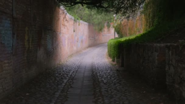 Telecamera che passa dal buio alla luce in un corridoio o vicolo — Video Stock