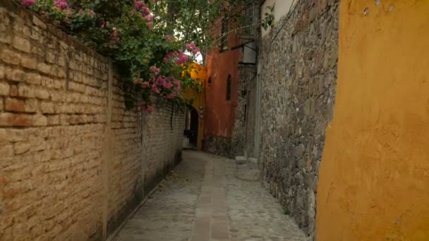 Steadicam para baixo um beco colorido estreito com paredes de tijolo e flores em câmera lenta — Vídeo de Stock