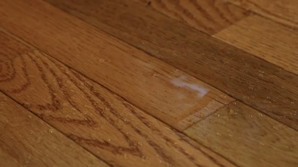 A foot slips on water dripping from above on a wood floor — Stock Video