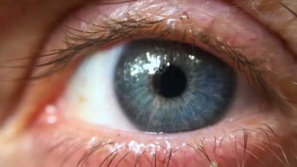 Extreme Nahaufnahme eines blauen Auges, das Bäume draußen reflektiert — Stockvideo