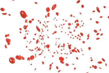 Kırmızı kan hücreleri eritrositler Arteryel veya kılcal damar iç. 
