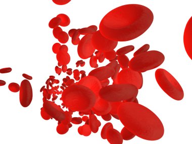 Kırmızı kan hücreleri eritrositler Arteryel veya kılcal damar iç. 