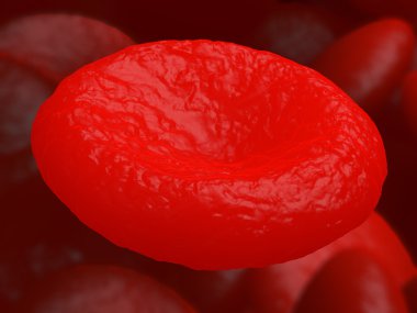 Red blood cell erythrocyte in interior of arterial or capillary blood vessel.  clipart